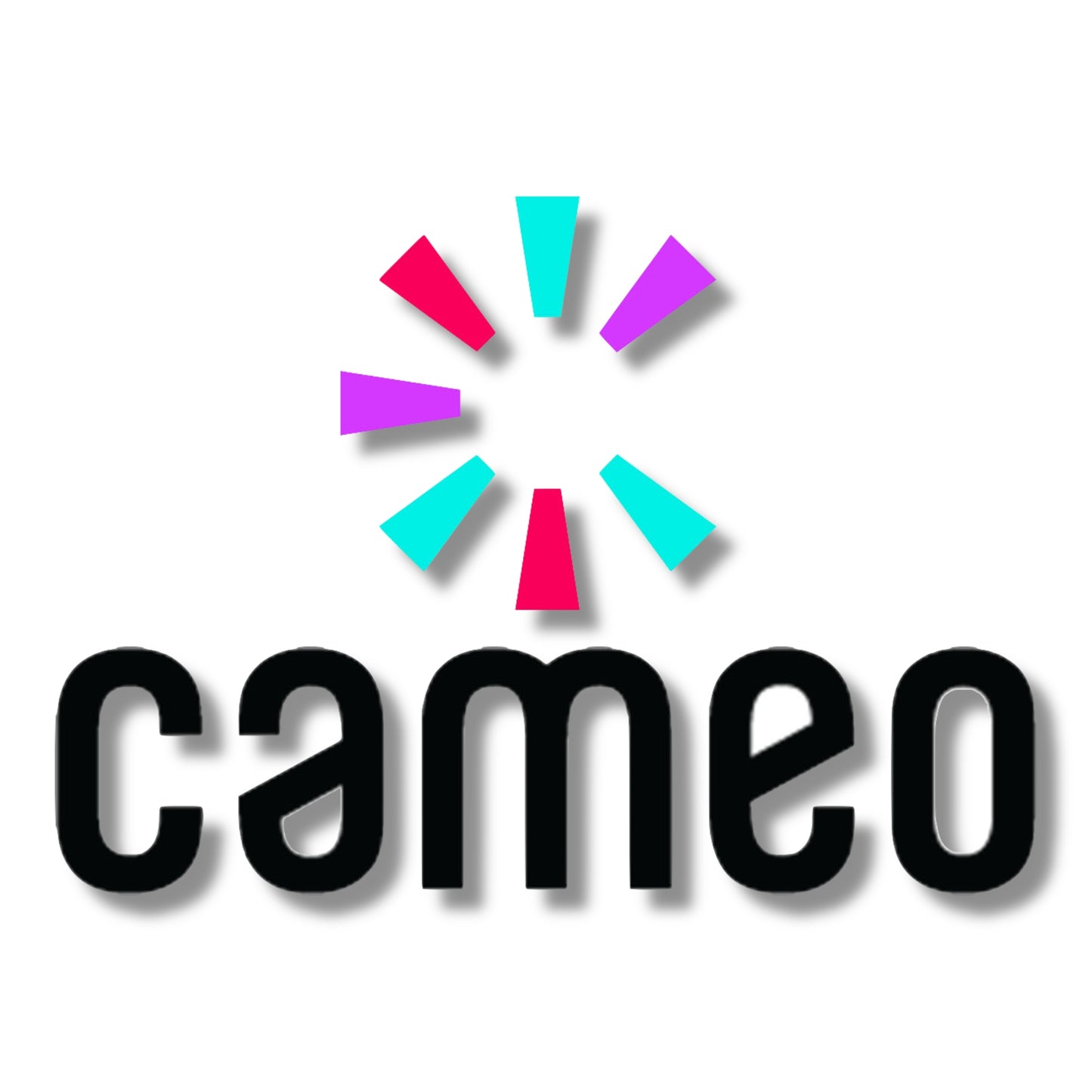 Custom Video From Me! (CAMEO)