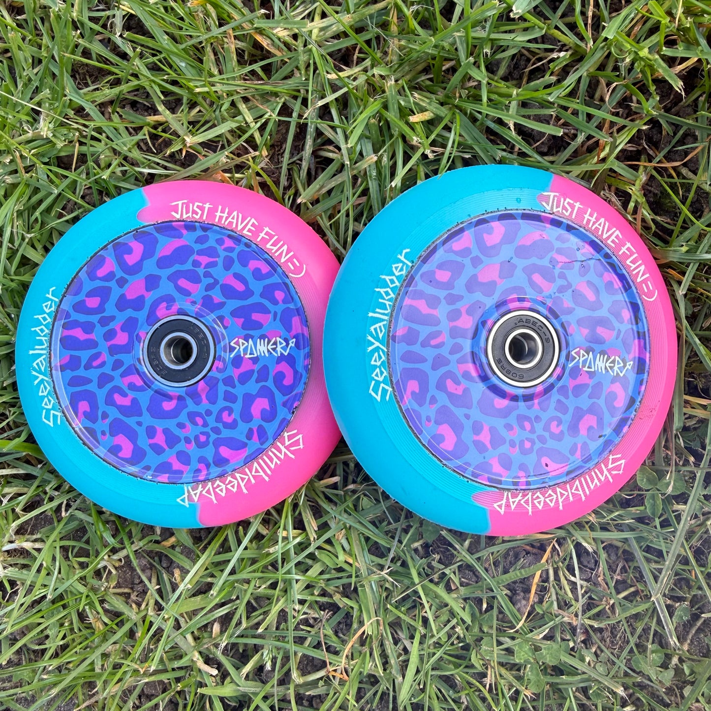 Blue & Pink Leopard Wheels