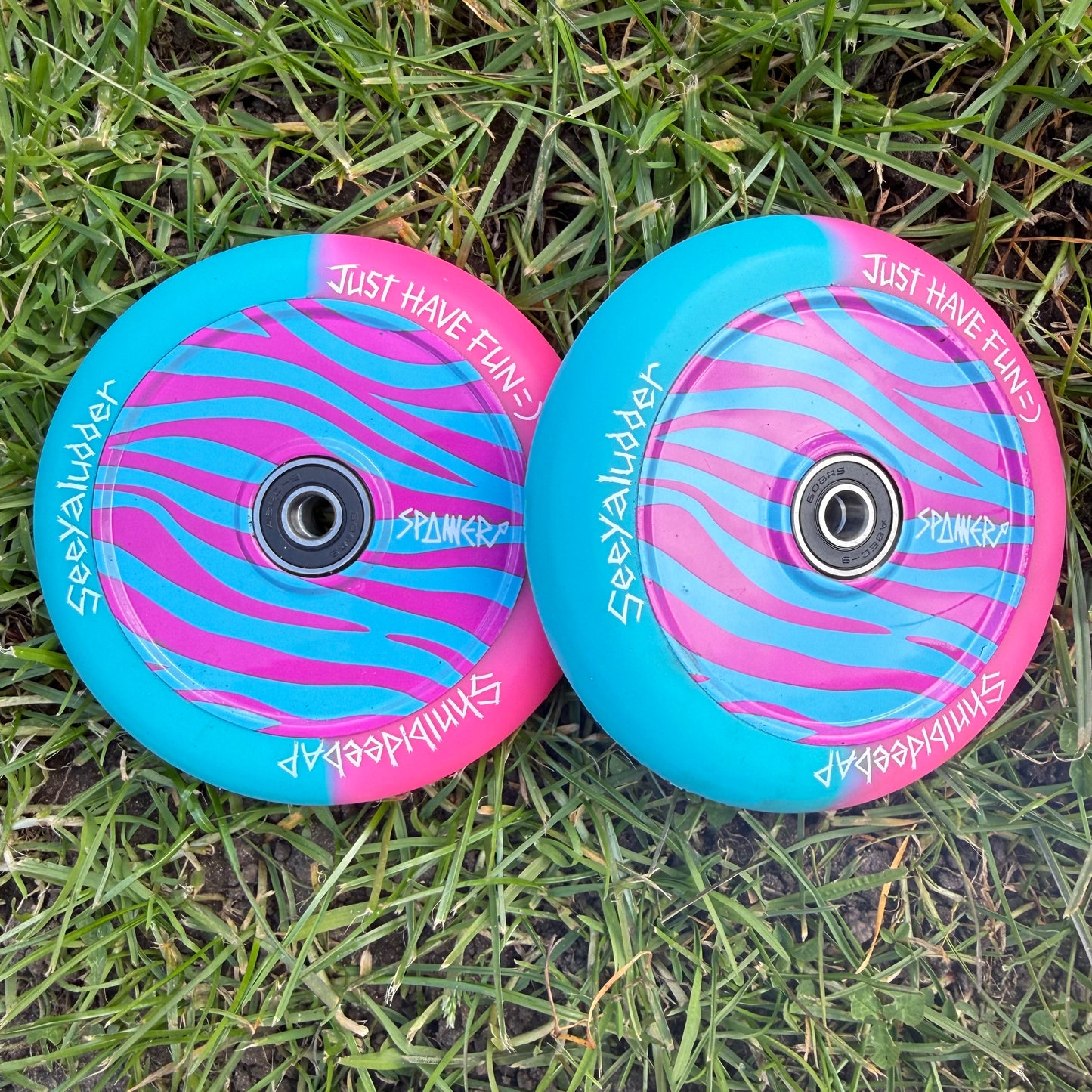 Pink & Blue Zebra Wheels V2