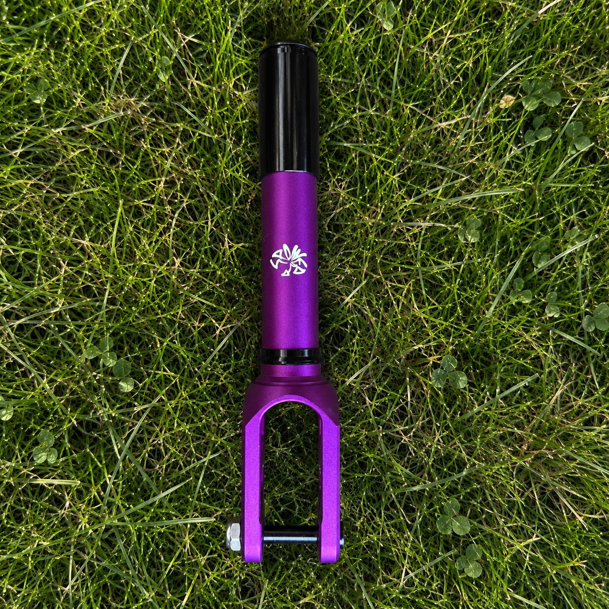 Purple Forks - HIC