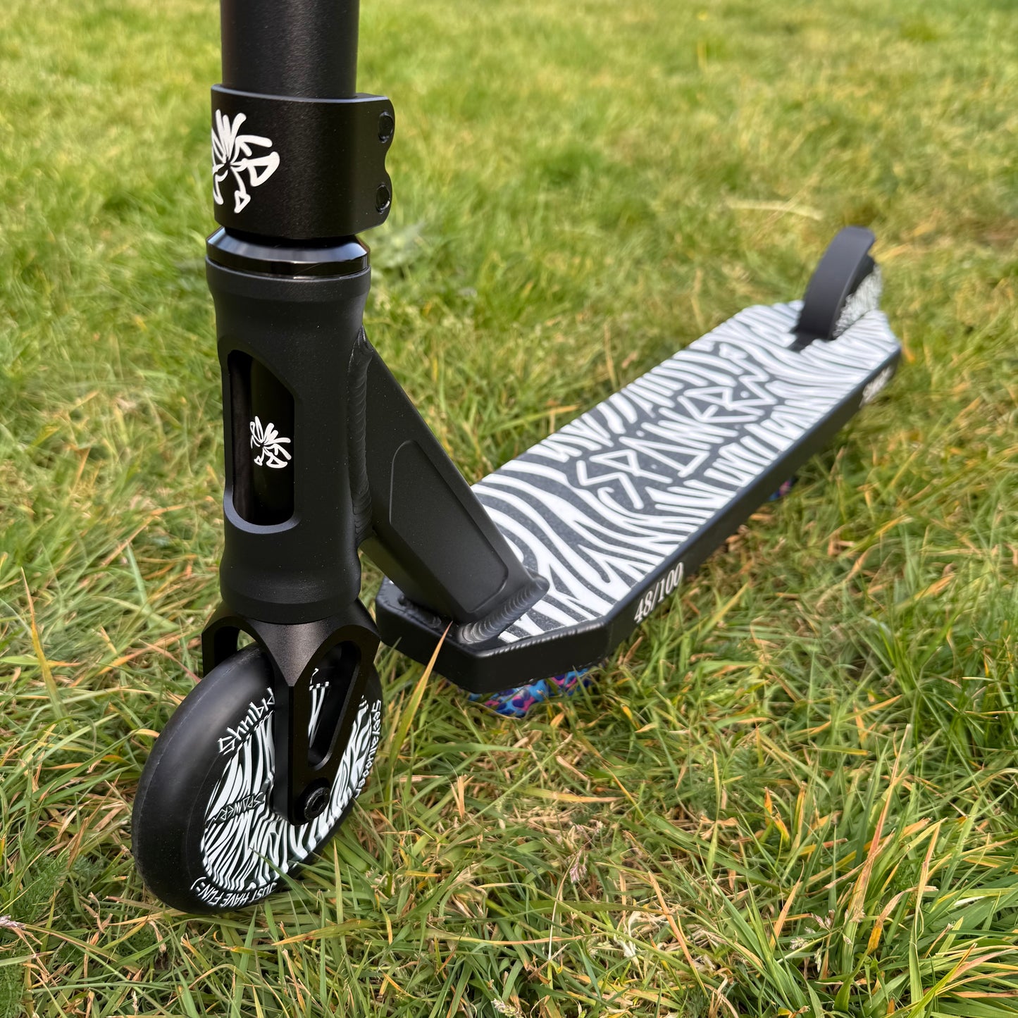Zebra Complete Scooter