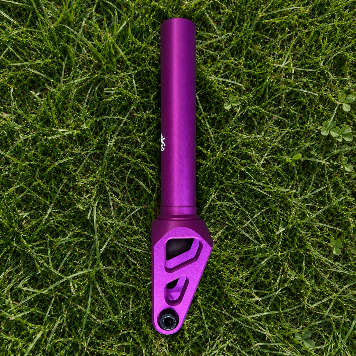 Purple Forks - HIC